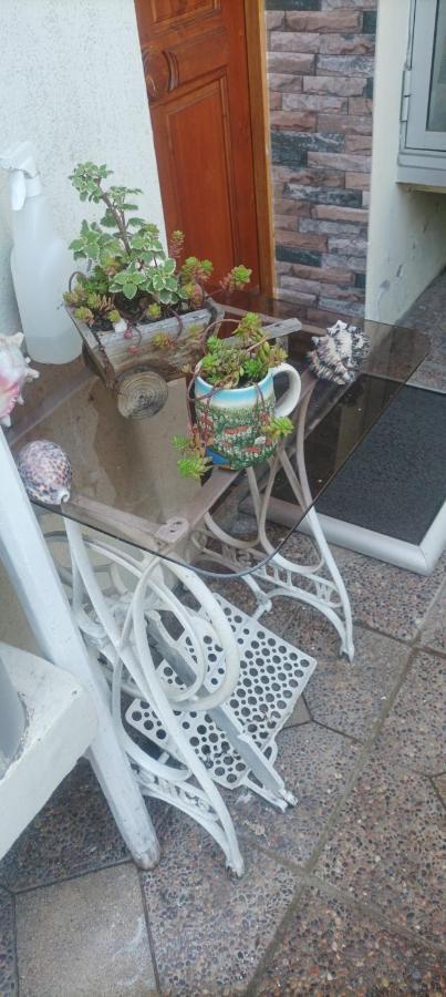 Bed and Breakfast La Ruta Del Jazz Santa Cruz Exterior foto